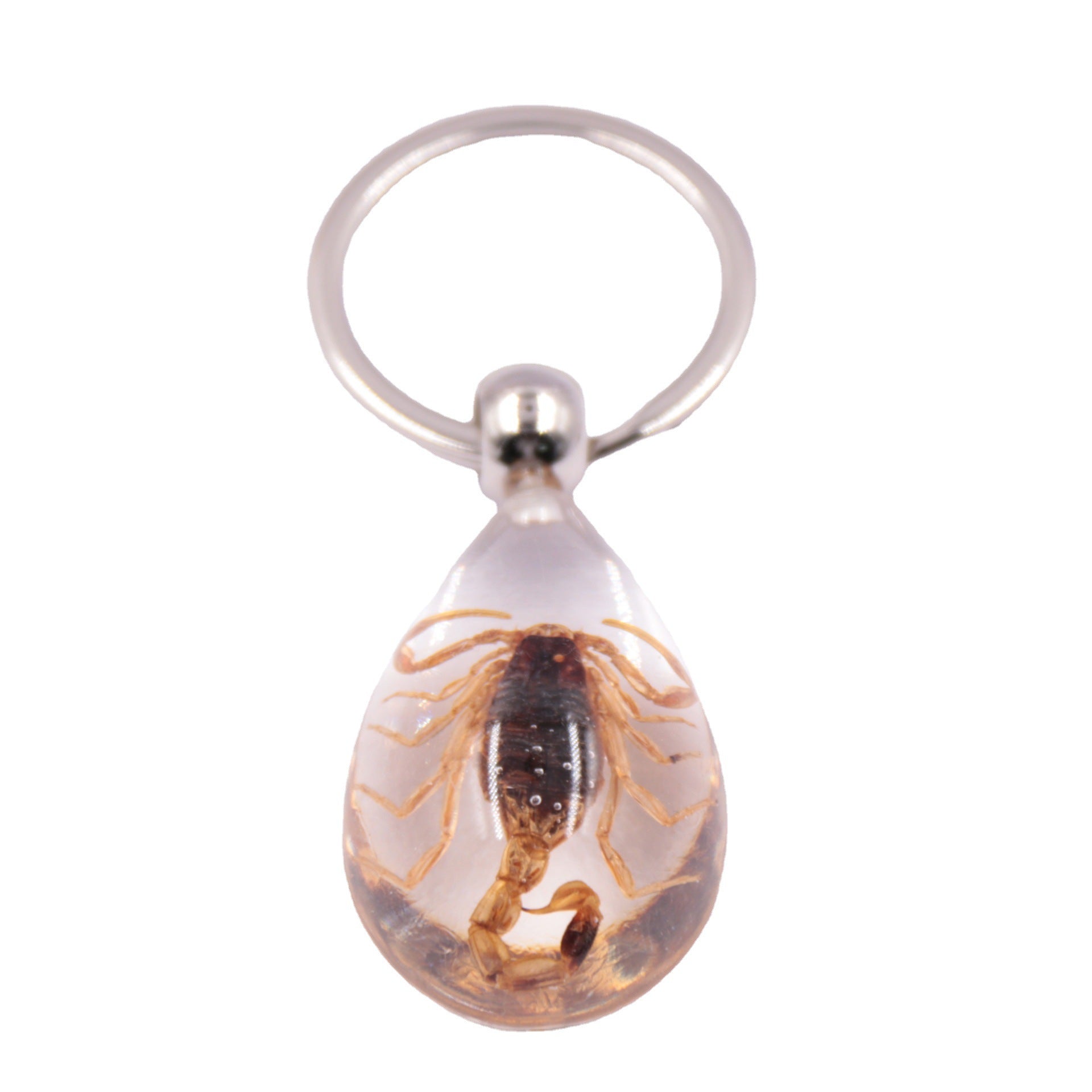 Wholesale 6pcs/pack Clear Amber Insect Specimen Keychain